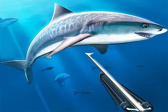 hunting-underwater-spearfishing
